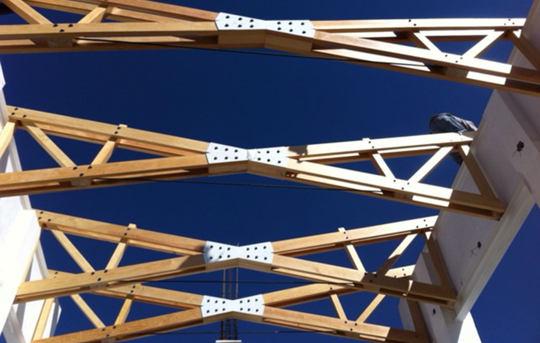 Estructuras y Plafones de Madera